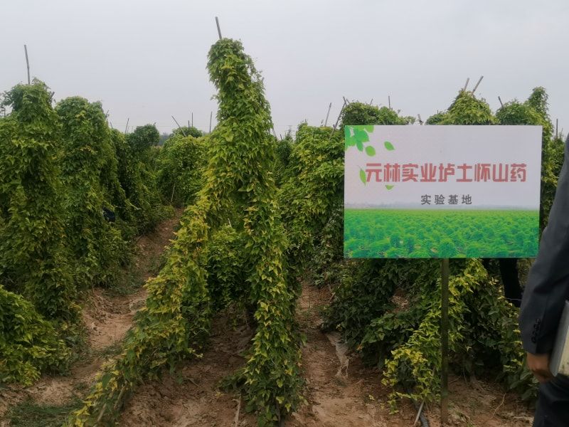 實(shí)驗(yàn)基地牌子